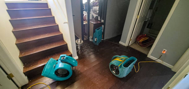 Best Flood restoration services  in University Center, VA