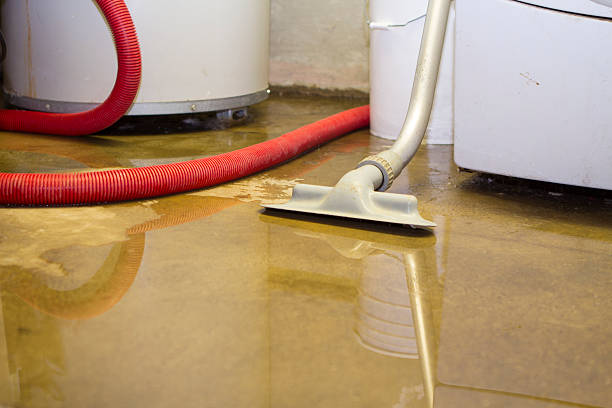  University Center, VA Water damage restoration Pros