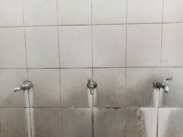 Best Basement water damage restoration  in University Center, VA