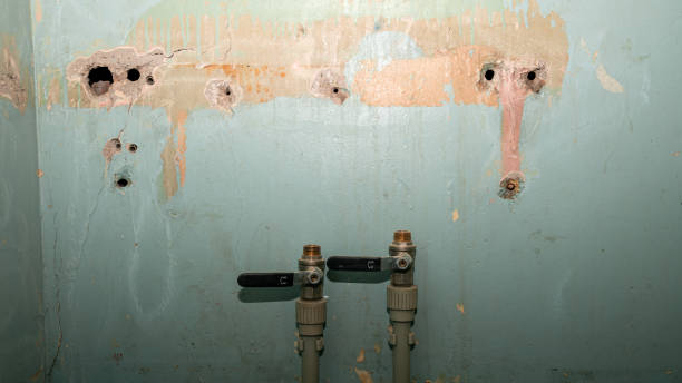 Best 24-hour water damage restoration  in University Center, VA