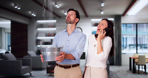 Best Professional water damage repair  in University Center, VA